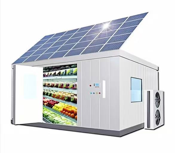 Solar Power Cold Stotage Walk in cooler freezer